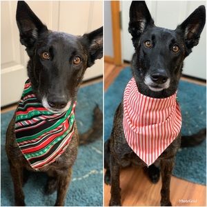 Handmade Reversible Christmas Holiday Dog Bandana